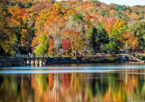 Exploring the Bilingual Publications in Montgomery County, Maryland